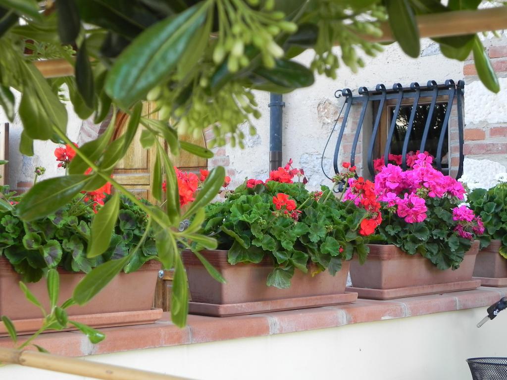 Villa Il Fortino Lido di Camaiore Exterior foto